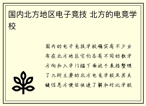 国内北方地区电子竞技 北方的电竞学校